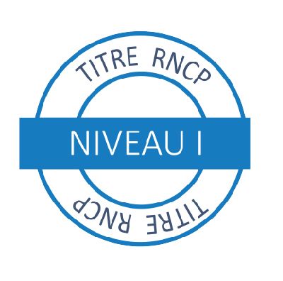 Titre de Niveau 1 enregistré au RNCP